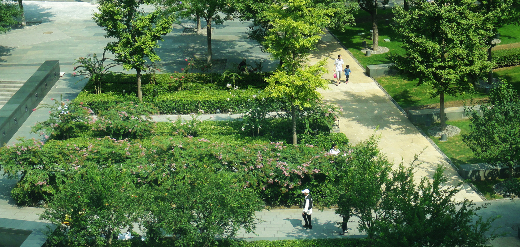 bigphoto3